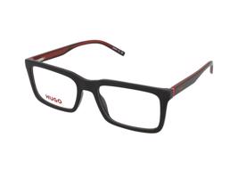 Hugo Boss HG 1317 807