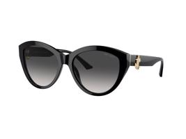 Jimmy Choo JC5007 50008G