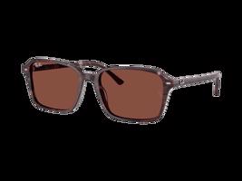 Ray-Ban Raimond RB2231 1416C5