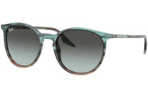 Ray-Ban RB2204 1394GK - L (54)