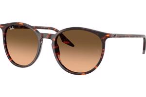 Ray-Ban RB2204 14293B - L (54)