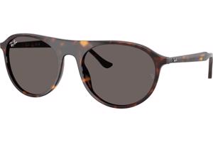 Ray-Ban RB2215 902/B1 - L (59)