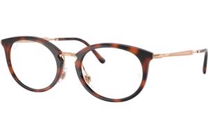 Ray-Ban RX7255 5687 - L (53)