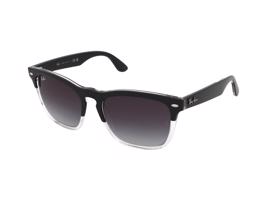 Ray-Ban Steve RB4487 66308G