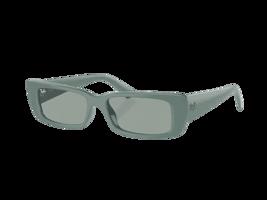 Ray-Ban Teru RB4425 676282