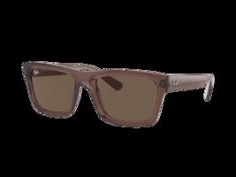 Ray-Ban Warren RB4396 667873