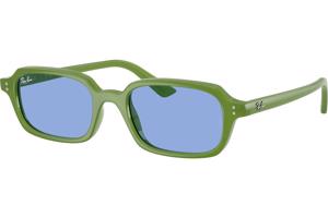 Ray-Ban Zuri RB4455 681080 - L (52)